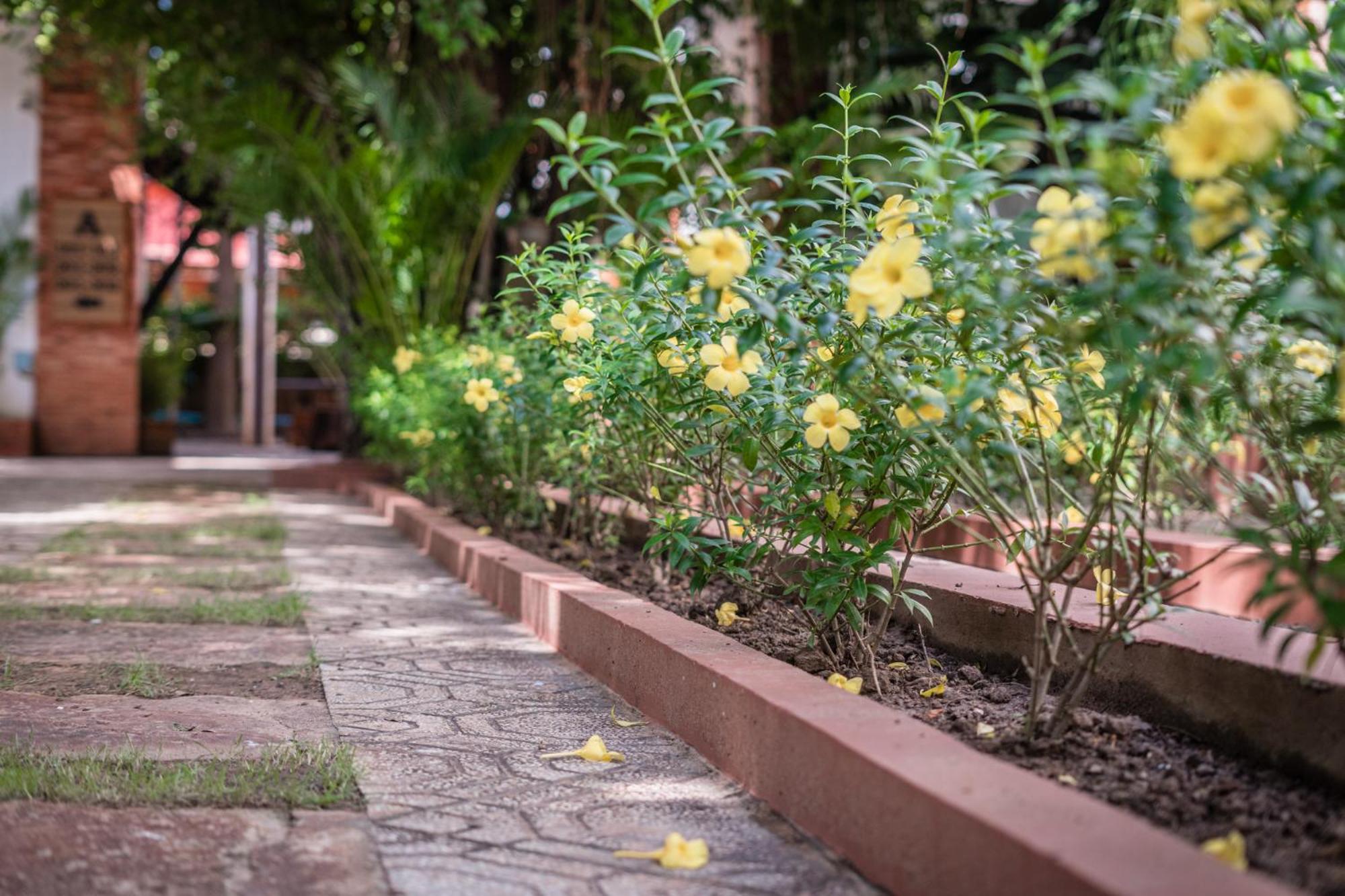 סיאם ריפ Bamboo Retreat Villa מראה חיצוני תמונה